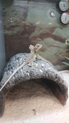 Pet Supply Store «Petco Animal Supplies», reviews and photos, 188 Kitts Ln, Newington, CT 06111, USA