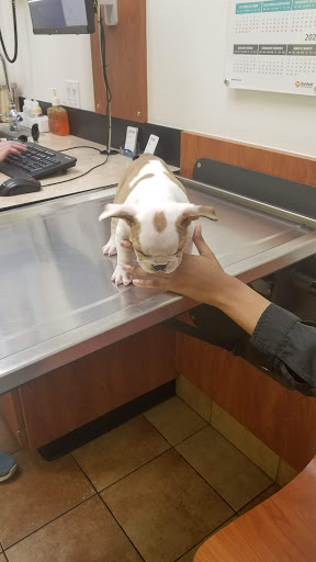 Pet Supply Store «PetSmart», reviews and photos, 8660 Airline Hwy, Baton Rouge, LA 70815, USA