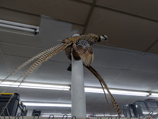 Home Improvement Store «City Hardware», reviews and photos, 129 Wooster St, Lodi, OH 44254, USA