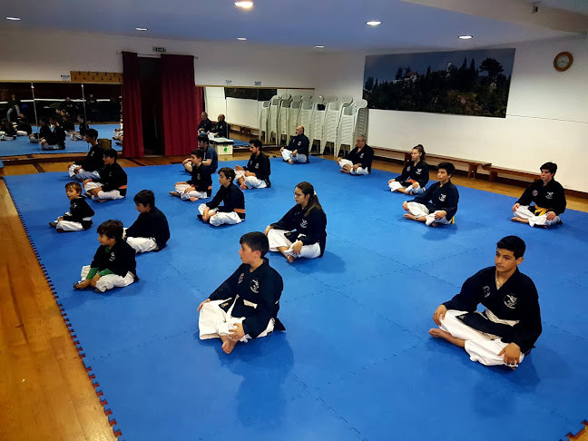 Dojang José Vasconcelos - Academia