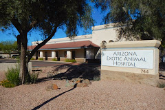 Arizona Exotic Animal Hospital