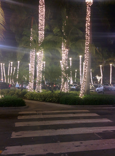 Movie Theater «AMC Aventura 24», reviews and photos, 19501 Biscayne Blvd #3001, Aventura, FL 33180, USA