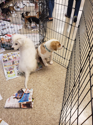 Pet Supply Store «PetSmart», reviews and photos, 470 Shaw Ave, Clovis, CA 93612, USA