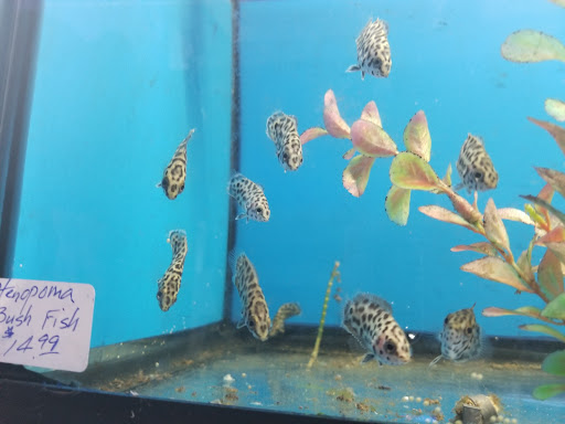Pet Store «Aqua World Pet Super Center», reviews and photos, 8143 Ohio River Blvd, Pittsburgh, PA 15202, USA