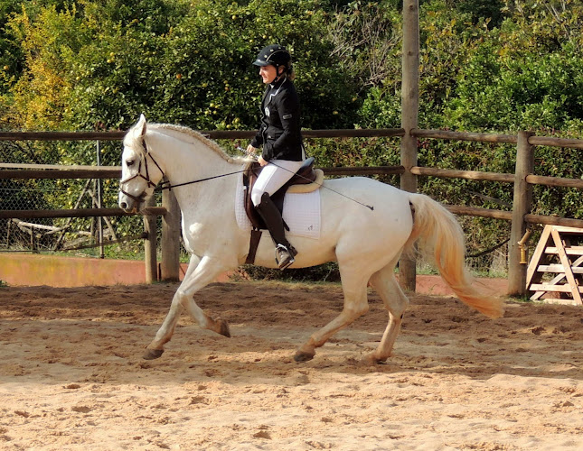 Country Riding Centre - Silves