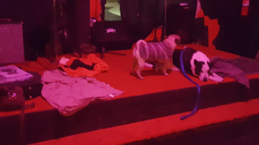 Performing Arts Theater «Planet Ant Theatre», reviews and photos, 2357 Caniff St, Hamtramck, MI 48212, USA