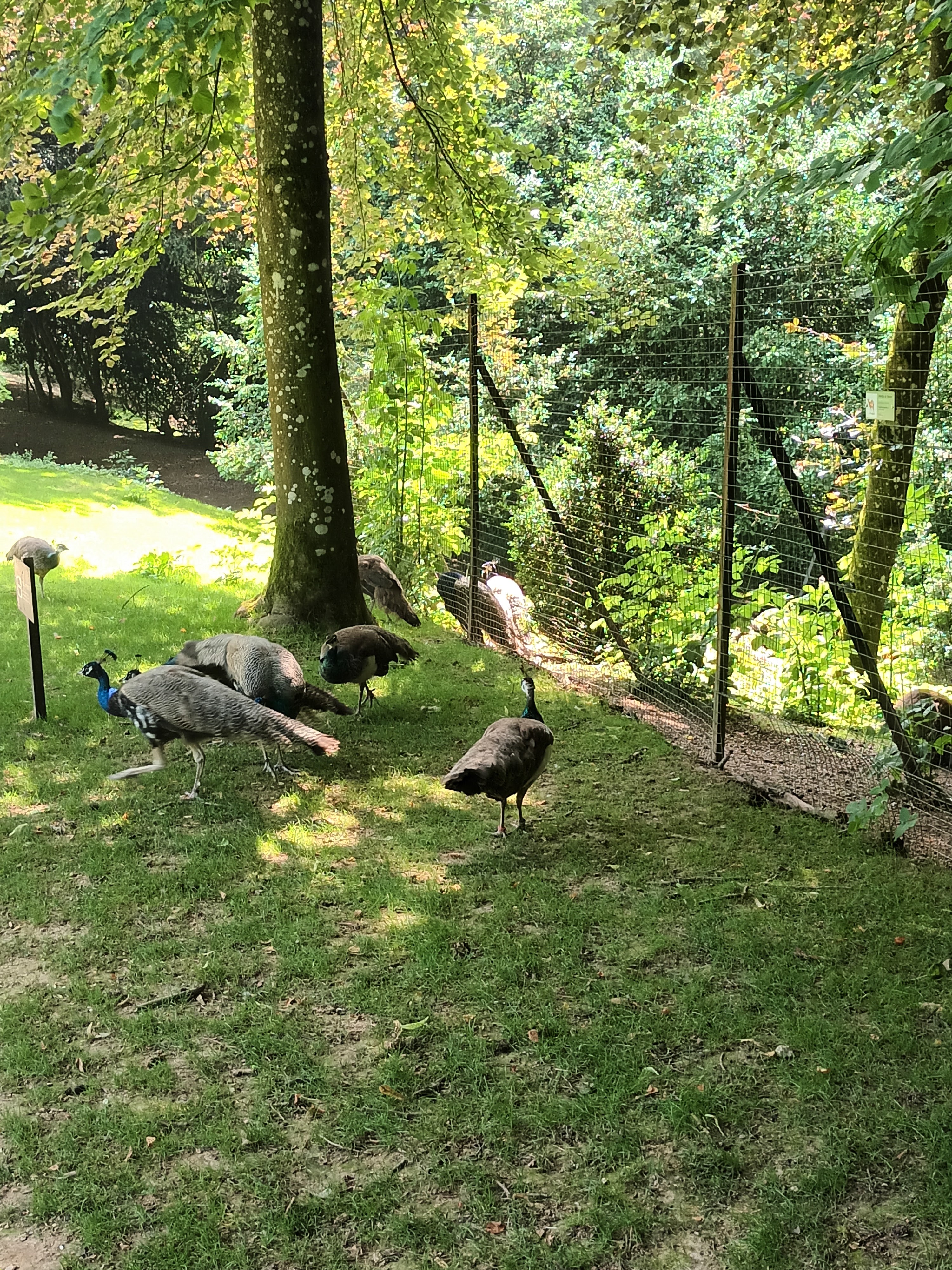 Photo n° 16 de l'avis de daniel.a fait le 28/06/2023 à 18:17