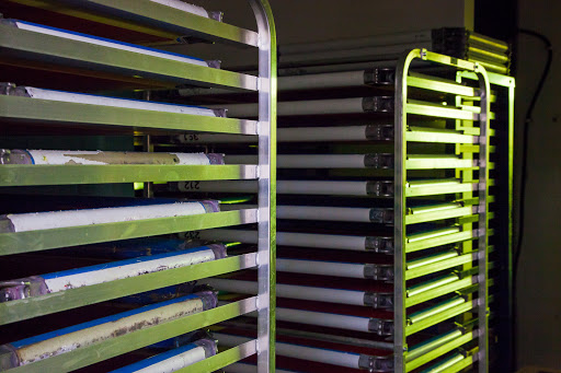 Screen Printer «Trust Printshop», reviews and photos, 2506 Tillar St, Fort Worth, TX 76107, USA