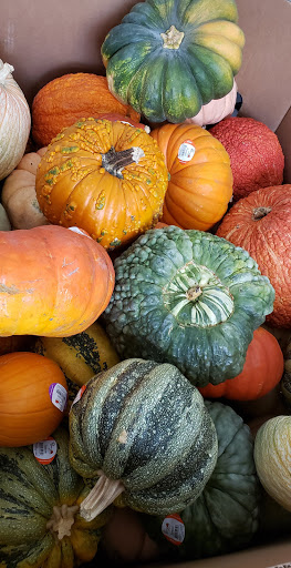 Shopping Mall «North Point Centre», reviews and photos, 320 Bay St, San Francisco, CA 94133, USA