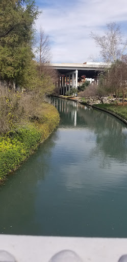 Art Museum «San Antonio Museum of Art», reviews and photos, 200 W Jones Ave, San Antonio, TX 78215, USA