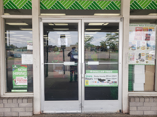 Dollar Store «Dollar Tree», reviews and photos, 266 N Telegraph Rd, Pontiac, MI 48341, USA
