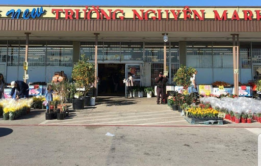 Asian Grocery Store «New Truong Nguyen Market», reviews and photos, 3555 East Walnut Street #221, Garland, TX 75042, USA