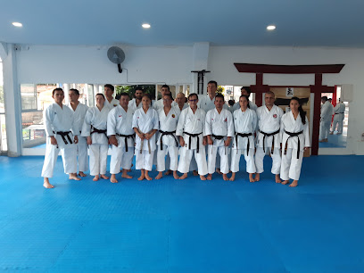 karate do ibague