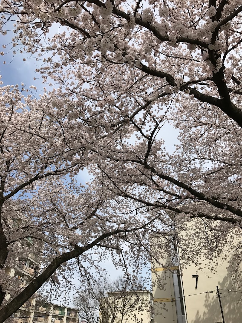 多摩川中央公園グラウンド 東京都福生市南田園 野球場 グルコミ