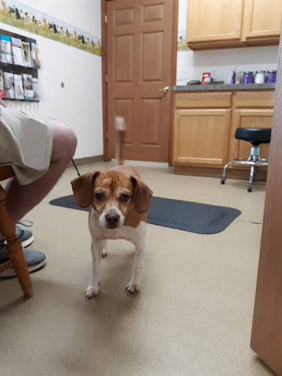 Buck Creek Veterinary Clinic