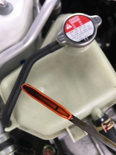 Motorcycle Dealer «Cycles of Jacksonville», reviews and photos, 8209 Atlantic Blvd, Jacksonville, FL 32211, USA