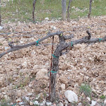 Photo n°23 de l'avis de Fabrizio.r fait le 24/04/2022 à 11:07 sur le  Castello di Tornano à Loc. Tornano