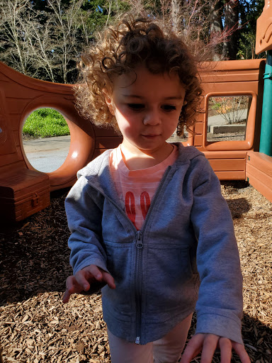 Park «Clyde Beach Park», reviews and photos, 2 92nd Ave NE, Bellevue, WA 98004, USA