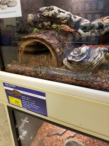 Pet Supply Store «PetSmart», reviews and photos, 28556 Telegraph Rd, Southfield, MI 48034, USA