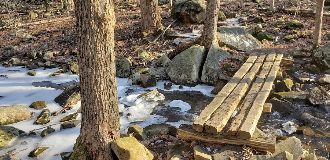 Naugatuck State Forest (Mount Sanford Block)