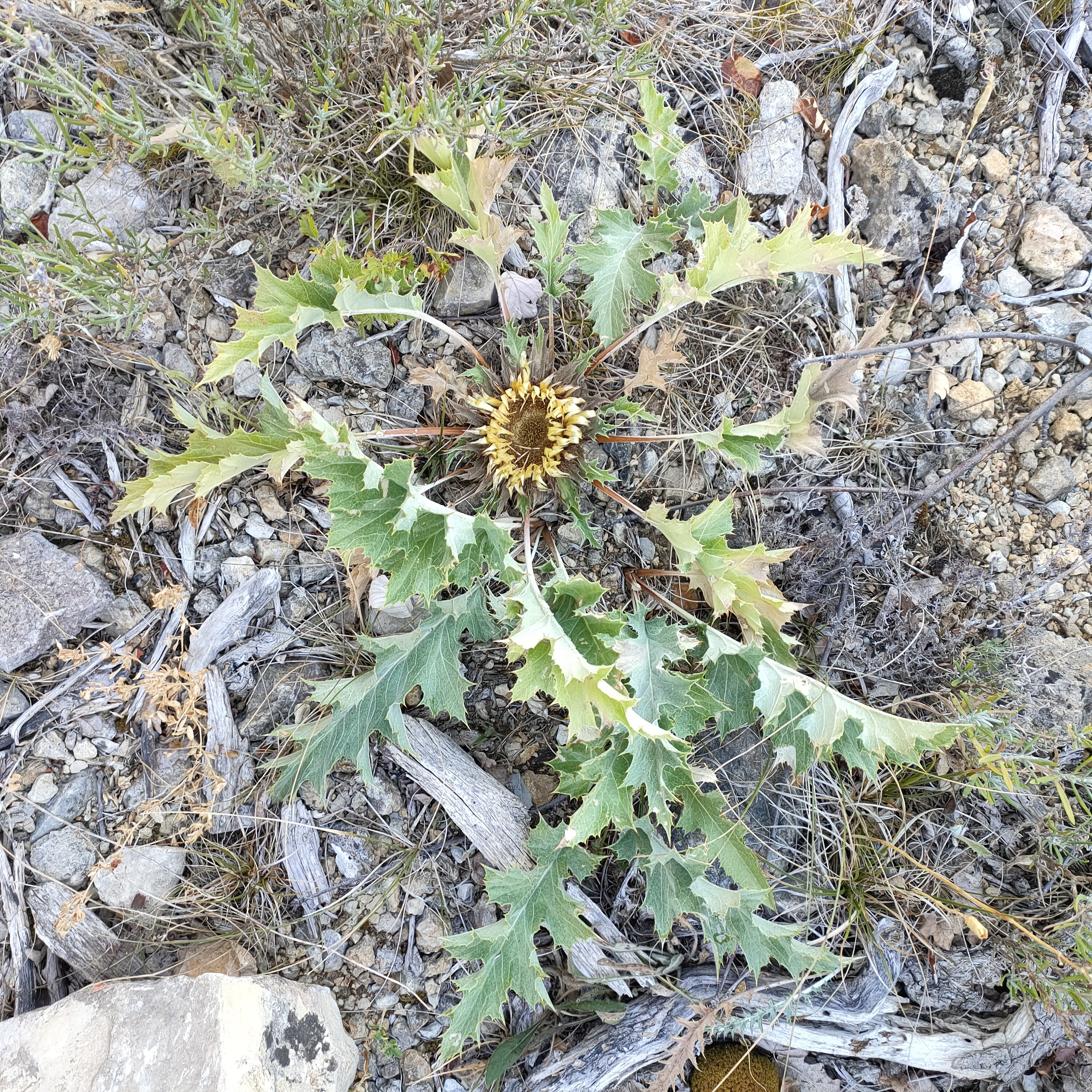 Photo n° 4 de l'avis de Didier.O fait le 08/08/2022 à 14:17
