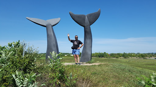 Monument «Reverence (Whales Tails)», reviews and photos, I-89, South Burlington, VT 05403, USA