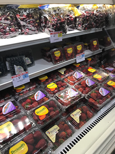 Supermarket «Publix Super Market at Champions Gate Village», reviews and photos, 8301 Champions Gate Blvd, ChampionsGate, FL 33896, USA