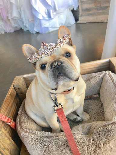 Bridal Shop «Haute Bride», reviews and photos, 40 N Santa Cruz Ave, Los Gatos, CA 95030, USA