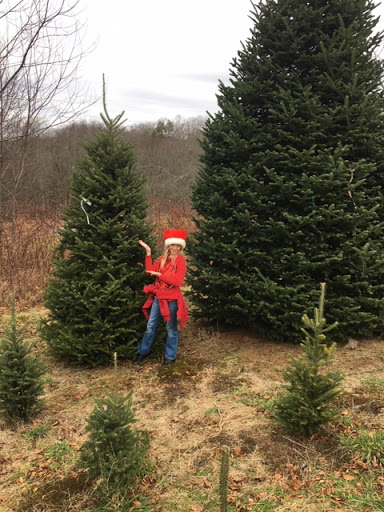 Auto Insurance Agency «State Farm: Sig Holcomb III», reviews and photos