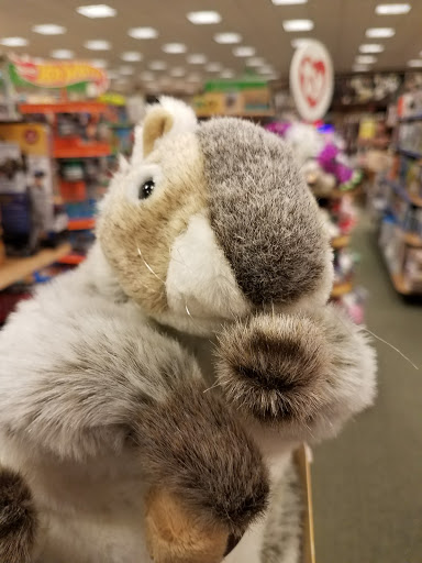 Book Store «Barnes & Noble», reviews and photos, 1180 Raritan Rd, Clark, NJ 07066, USA
