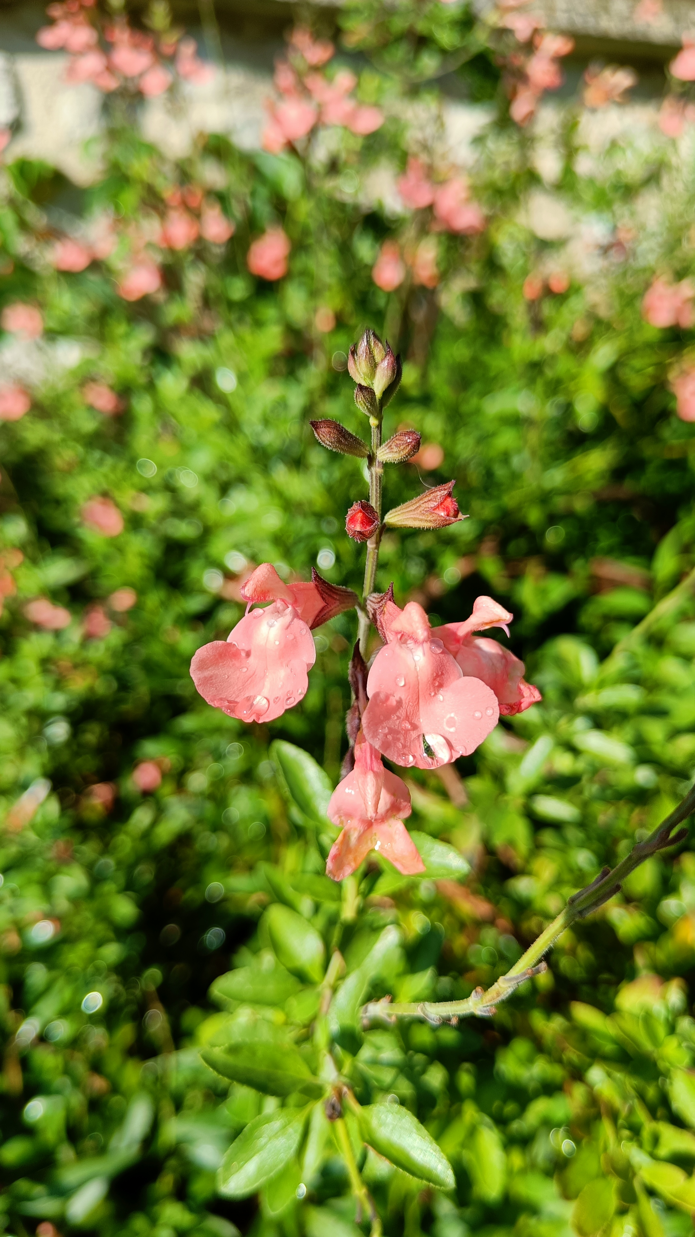 Photo n° 44 de l'avis de Eliot.o fait le 28/07/2023 à 16:35
