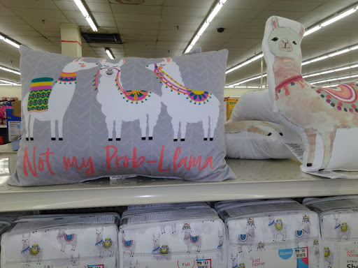 Discount Store «Big Lots», reviews and photos, 11 Robert Smalls Pkwy, Beaufort, SC 29903, USA