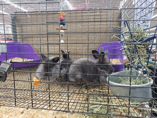 Department Store «Rural King», reviews and photos, 1800 IN-44, Shelbyville, IN 46176, USA