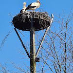 Photo n°1 de l'avis de Gerd.� fait le 09/03/2024 à 15:43 sur le  Bellmann's Gasthof à Ottersberg