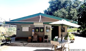 Fullerton Arboretum - photo 45