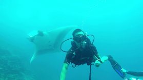 Galapagos People Dive Center