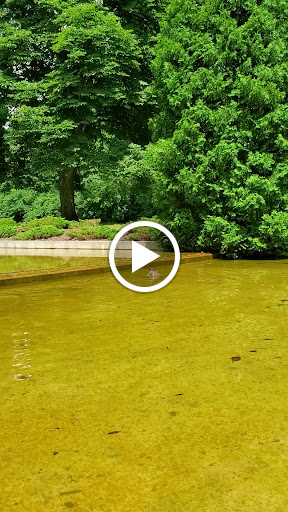 Museum «Cranbrook Art Museum», reviews and photos, 39221 Woodward Ave, Bloomfield Hills, MI 48303, USA