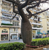 Lucía Pou Properties - Av. Ricardo Soriano, 25, 29601 Marbella, Málaga