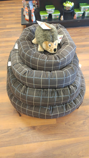 Pet Store «Pet Valu», reviews and photos, 345 N Main St, West Hartford, CT 06117, USA