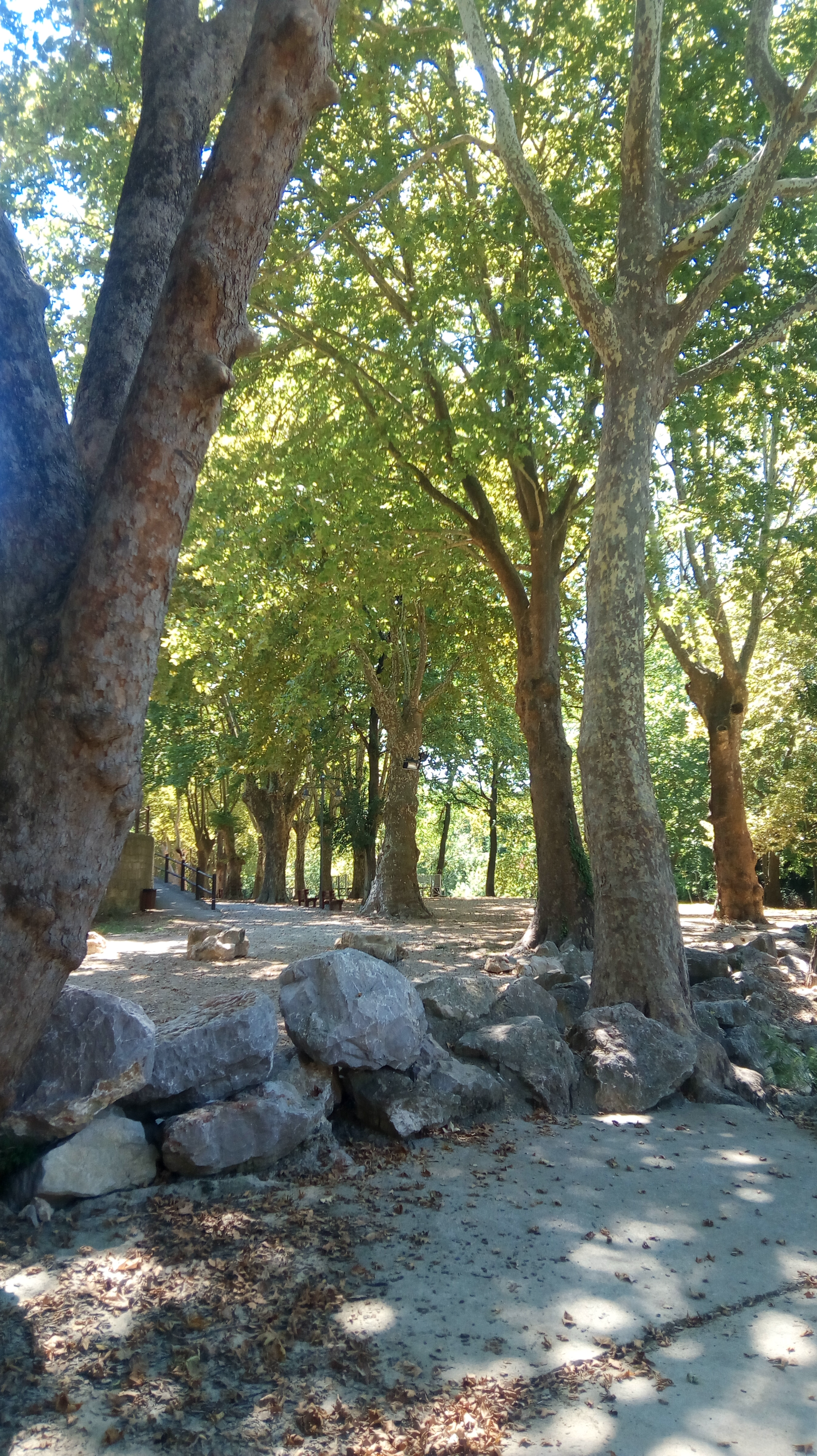 Photo n° 2 de l'avis de balades. fait le 11/07/2018 à 13:22