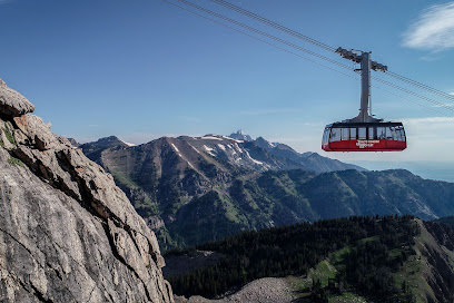 Jackson Hole Aerial Tram and Gondola Rides