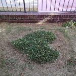 Photo n°1 de l'avis de S..b fait le 26/06/2019 à 16:42 sur le  Restaurant Al Lago à Werder