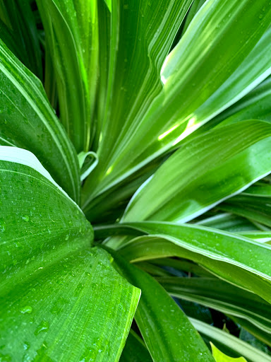 Zoo «Belle Isle Nature Center», reviews and photos, 176 Lakeside Dr, Detroit, MI 48207, USA