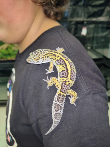 Pet Store «Pet Shoppe», reviews and photos, 2144 Springs Rd, Vallejo, CA 94591, USA