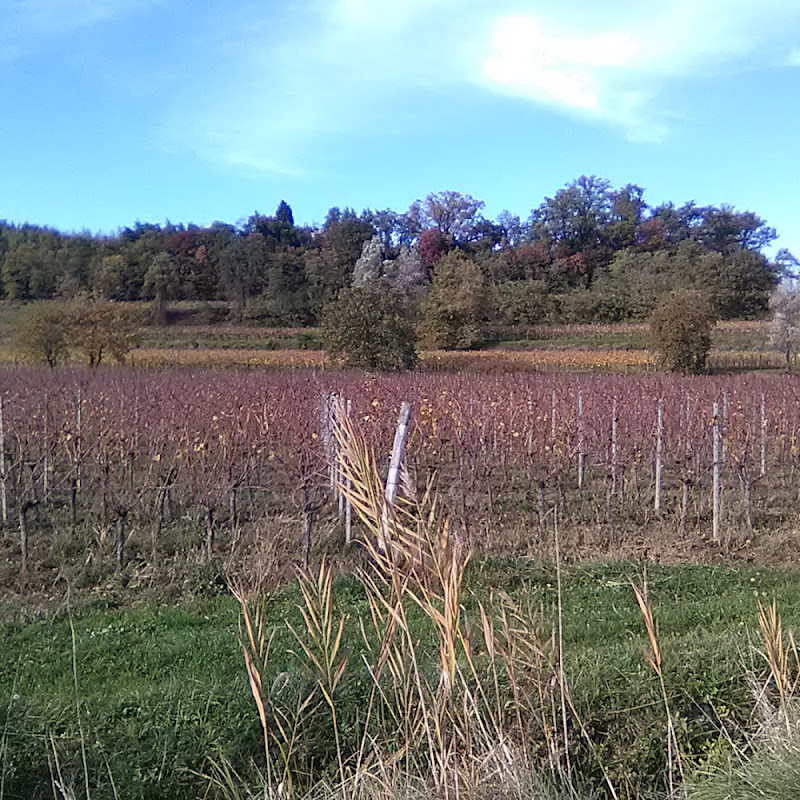 Cambielli Edilfriuli S.p.A.