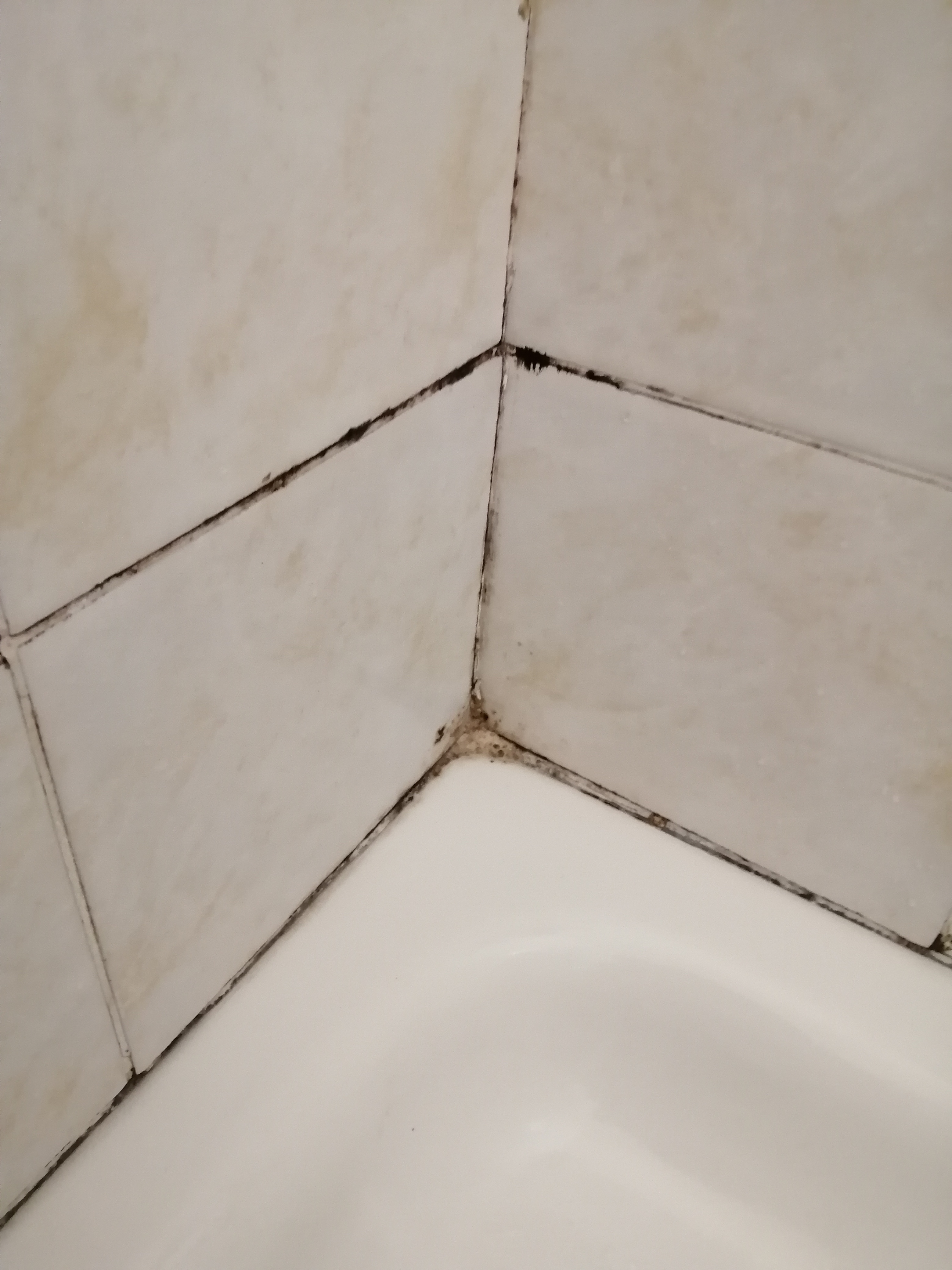Photo n° 2 de l'avis de yves-fabienne.o fait le 30/06/2023 à 19:50