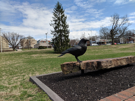 Art Museum «University of Kentucky Art Museum», reviews and photos, 405 Rose St, Lexington, KY 40508, USA