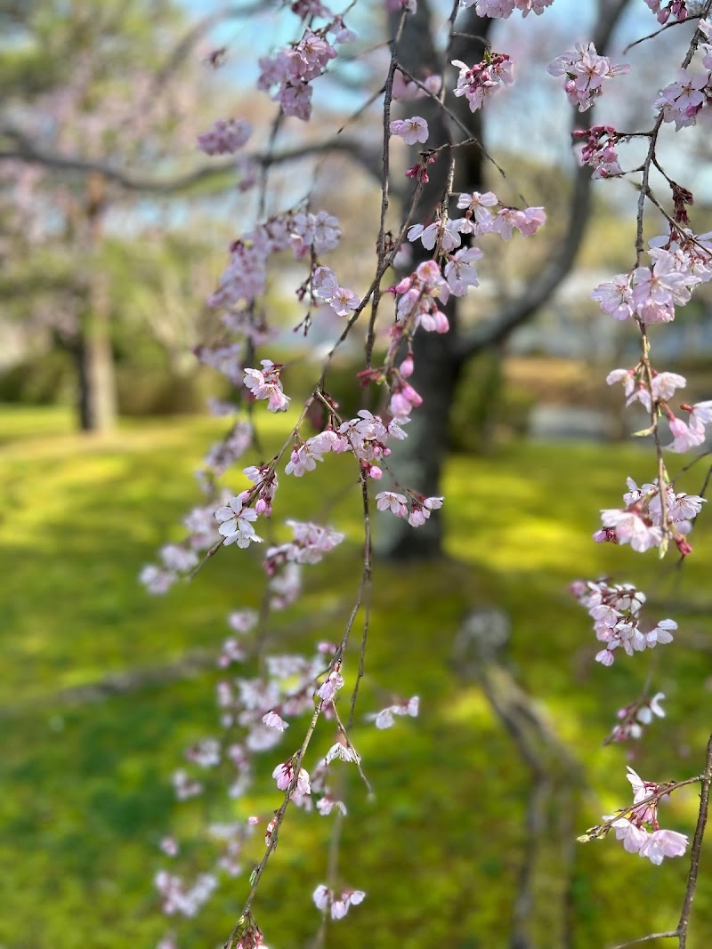 神宮美術館庭園