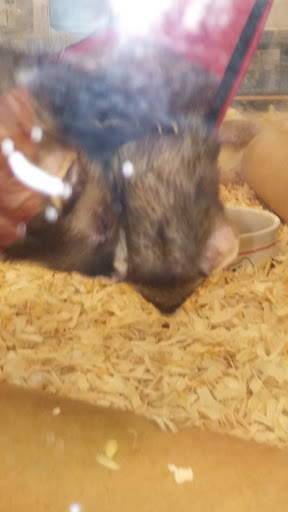 Pet Supply Store «Pet Supplies Plus», reviews and photos, 311 Sagamore Pkwy N, Lafayette, IN 47904, USA