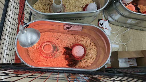 Home Improvement Store «Tractor Supply Co.», reviews and photos, 4525 Hamilton Middletown Rd, Hamilton, OH 45011, USA